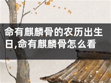 命有麒麟骨的农历出生日,命有麒麟骨怎么看