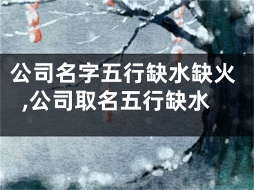 公司名字五行缺水缺火,公司取名五行缺水
