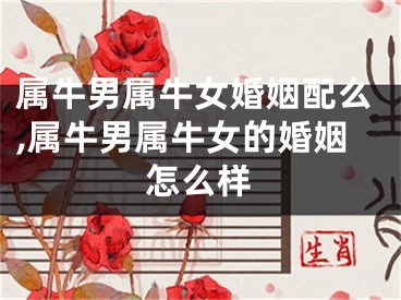 属牛男属牛女婚姻配么,属牛男属牛女的婚姻怎么样