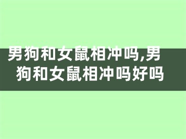 男狗和女鼠相冲吗,男狗和女鼠相冲吗好吗