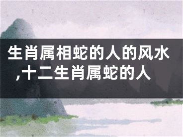 生肖属相蛇的人的风水,十二生肖属蛇的人