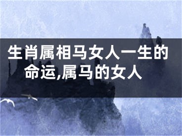 生肖属相马女人一生的命运,属马的女人