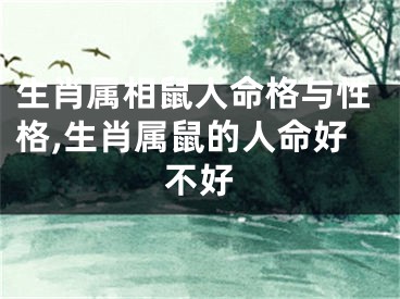 生肖属相鼠人命格与性格,生肖属鼠的人命好不好