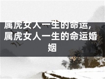 属虎女人一生的命运,属虎女人一生的命运婚姻