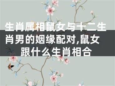 生肖属相鼠女与十二生肖男的姻缘配对,鼠女跟什么生肖相合