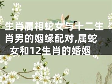 生肖属相蛇女与十二生肖男的姻缘配对,属蛇女和12生肖的婚姻