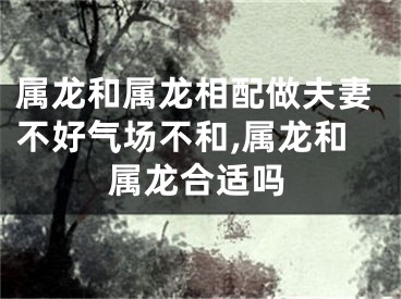 属龙和属龙相配做夫妻不好气场不和,属龙和属龙合适吗