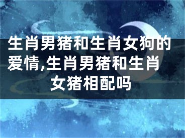 生肖男猪和生肖女狗的爱情,生肖男猪和生肖女猪相配吗