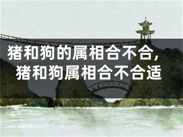 猪和狗的属相合不合,猪和狗属相合不合适