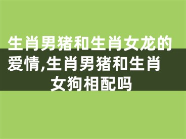 生肖男猪和生肖女龙的爱情,生肖男猪和生肖女狗相配吗