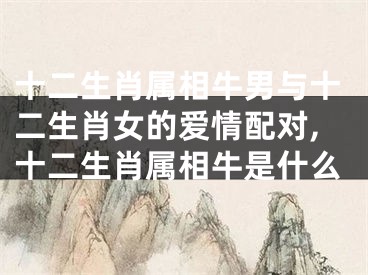 十二生肖属相牛男与十二生肖女的爱情配对,十二生肖属相牛是什么