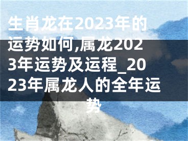 生肖龙在2023年的运势如何,属龙2023年运势及运程_2023年属龙人的全年运势