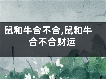 鼠和牛合不合,鼠和牛合不合财运