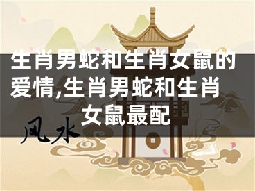 生肖男蛇和生肖女鼠的爱情,生肖男蛇和生肖女鼠最配
