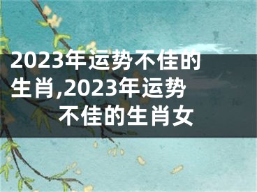 2023年运势不佳的生肖,2023年运势不佳的生肖女