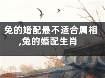 兔的婚配最不适合属相,兔的婚配生肖