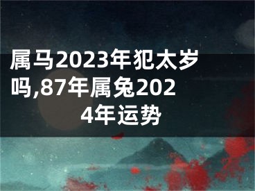 属马2023年犯太岁吗,87年属兔2024年运势