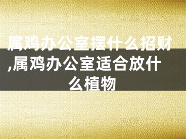 属鸡办公室摆什么招财,属鸡办公室适合放什么植物