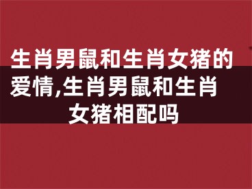 生肖男鼠和生肖女猪的爱情,生肖男鼠和生肖女猪相配吗