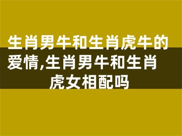 生肖男牛和生肖虎牛的爱情,生肖男牛和生肖虎女相配吗