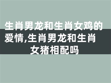 生肖男龙和生肖女鸡的爱情,生肖男龙和生肖女猪相配吗