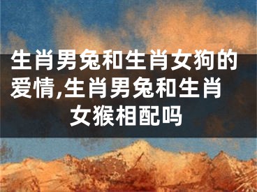 生肖男兔和生肖女狗的爱情,生肖男兔和生肖女猴相配吗