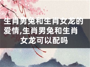 生肖男兔和生肖女龙的爱情,生肖男兔和生肖女龙可以配吗