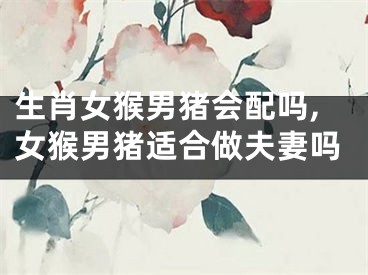 生肖女猴男猪会配吗,女猴男猪适合做夫妻吗