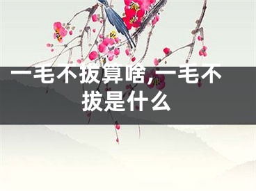 一毛不拔算啥,一毛不拔是什么