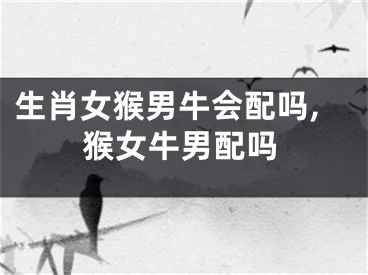 生肖女猴男牛会配吗,猴女牛男配吗