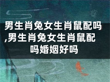 男生肖兔女生肖鼠配吗,男生肖兔女生肖鼠配吗婚姻好吗