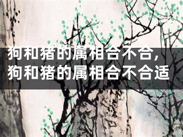 狗和猪的属相合不合,狗和猪的属相合不合适