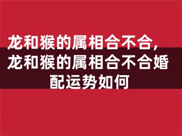龙和猴的属相合不合,龙和猴的属相合不合婚配运势如何