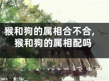 猴和狗的属相合不合,猴和狗的属相配吗
