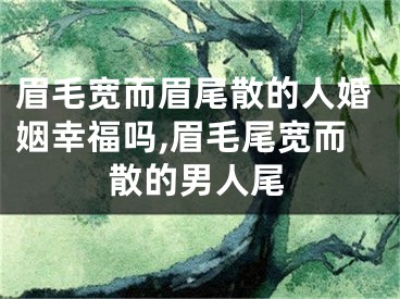 眉毛宽而眉尾散的人婚姻幸福吗,眉毛尾宽而散的男人尾