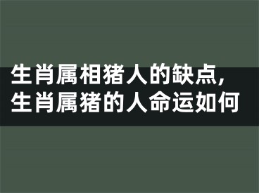 生肖属相猪人的缺点,生肖属猪的人命运如何