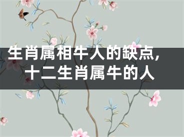 生肖属相牛人的缺点,十二生肖属牛的人