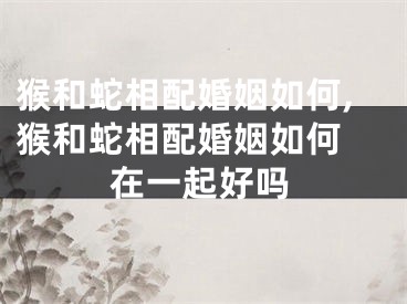 猴和蛇相配婚姻如何,猴和蛇相配婚姻如何 在一起好吗