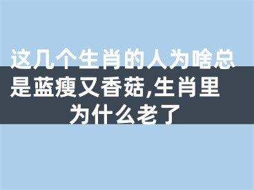 这几个生肖的人为啥总是蓝瘦又香菇,生肖里为什么老了