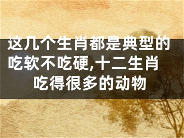 这几个生肖都是典型的吃软不吃硬,十二生肖吃得很多的动物