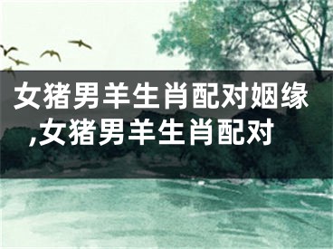 女猪男羊生肖配对姻缘,女猪男羊生肖配对