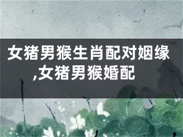 女猪男猴生肖配对姻缘,女猪男猴婚配