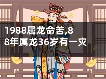 1988属龙命苦,88年属龙36岁有一灾