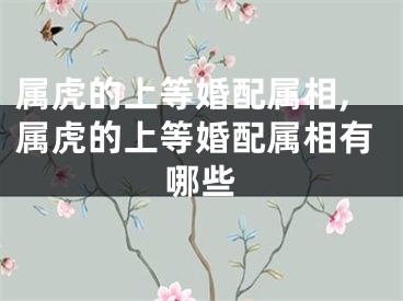 属虎的上等婚配属相,属虎的上等婚配属相有哪些