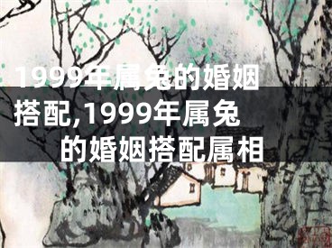 1999年属兔的婚姻搭配,1999年属兔的婚姻搭配属相