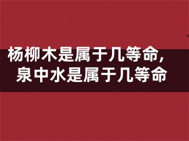 杨柳木是属于几等命,泉中水是属于几等命