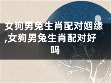 女狗男兔生肖配对姻缘,女狗男兔生肖配对好吗