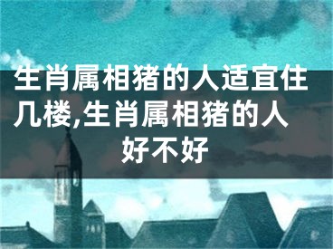 生肖属相猪的人适宜住几楼,生肖属相猪的人好不好