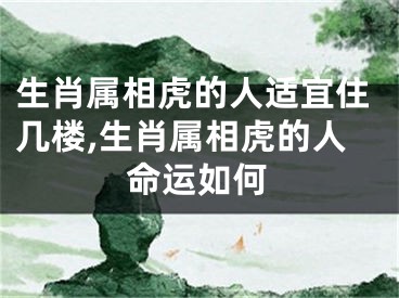 生肖属相虎的人适宜住几楼,生肖属相虎的人命运如何