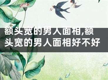 额头宽的男人面相,额头宽的男人面相好不好